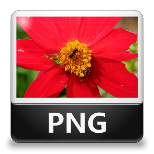 PNG File Icon - Lozengue Filetype Icons - SoftIcons.com