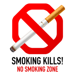 No Smoking Symbols Web Icons Softicons Com