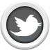 Twitter 2 Icon 72x72 png