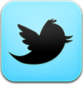 Twitter v2 Icon 118x120 png