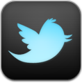 Twitter v4 Icon 118x120 png