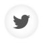 Twitter v2 Icon 64x64 png