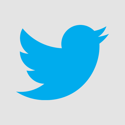 Twitter Light Icon 512x512 png