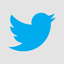 Twitter Light Icon 64x64 png