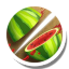 Fruit Ninja Icon 64x64 png