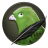 Birdy Icon
