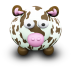 Brown White Cow Icon 72x72 png