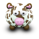 Brown White Cow Icon 80x80 png