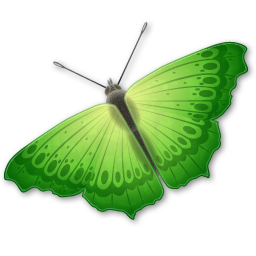 Butterfly Icon 256x256 png