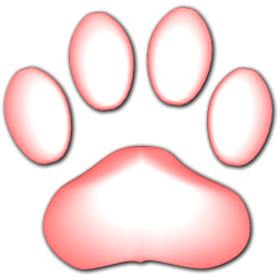 Cat Track Icon 256x256 png