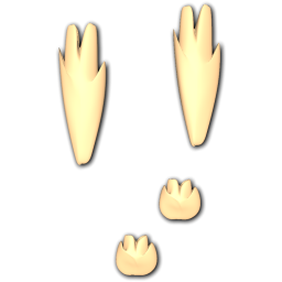 Rabbit 2 Track Icon 256x256 png