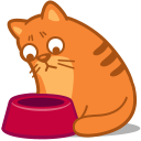 Cat Hungry Icon