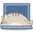 Cat Laptop Icon 128x128 png