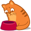 Cat Hungry Icon