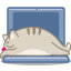 Cat Laptop Icon