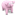 Piggy Icon 16x16 png