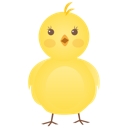 New Born Chicken Icon