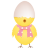 Chicken Egg Shell Top Icon