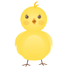 New Born Chicken Icon 96x96 png