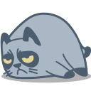 Cat Grumpy Icon