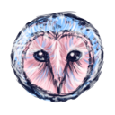 Owl v2 Icon