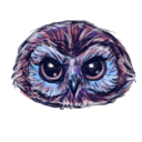 Owl v3 Icon 128x128 png