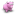 Pink Cow Icon 16x16 png