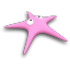 Starfish Icon 64x64 png