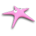 Starfish Icon 72x72 png