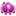 Octo Icon 16x16 png