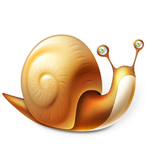 Snail Icon 512x512 png
