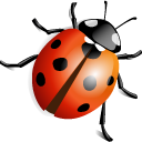 Lady Beetle Icon 128x128 png