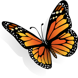 Butterfly Icon 256x256 png