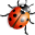 Lady Beetle Icon 32x32 png