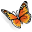 Butterfly Icon 32x32 png