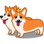 Dog Corgi Icon 64x64 png