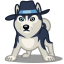 Dog Haski Icon 64x64 png