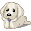 Dog Labrador Icon 64x64 png