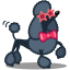 Dog Poodle Icon 64x64 png