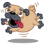 Dog Pug Icon 64x64 png