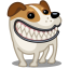 Dog Russel Icon 64x64 png