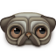 Pug Icon 64x64 png