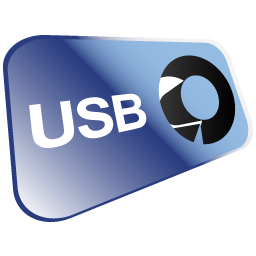USB Disk Icon 256x256 png