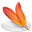 ImageReady Icon 48x48 png