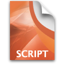 Adobe Director Script Icon