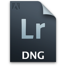 Adobe Lightroom DNG Icon 256x256 png