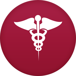 Health Icon 256x256 png
