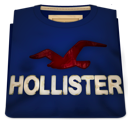 Hollister Perspective Icon