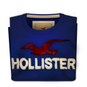Hollister Warped Icon