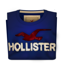 Hollister Warped Icon 256x256 png